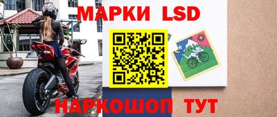 индика Заволжье