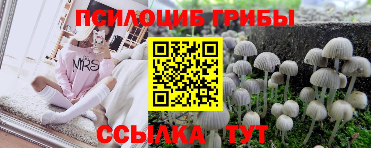 Псилоцибиновые грибы Psilocybe  Вход с VPN  Миллерово 